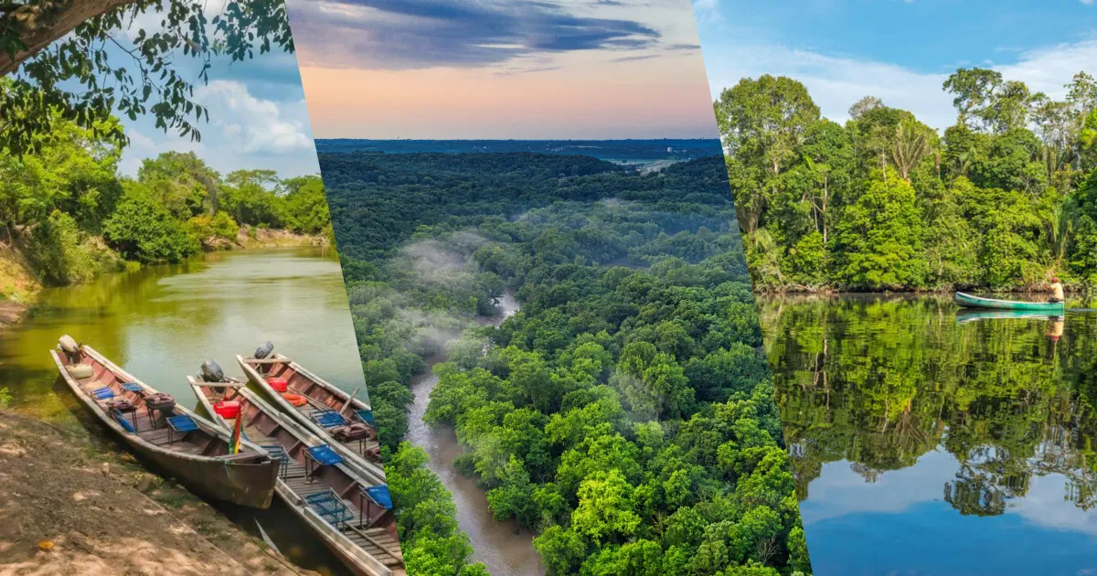Collage de la Amazonia boliviana: selva tropical desde Rurrenabaque, río Beni y fauna silvestre en los pampas