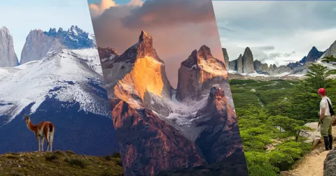 Collage del Parque Nacional Torres del Paine: las torres de granito al amanecer, lago Pehoé con los cuernos y glaciar Grey en Magallanes