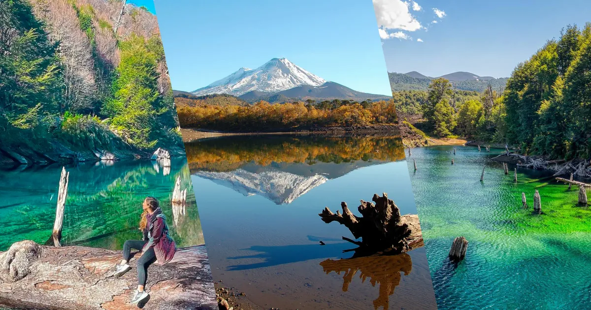 Collage del Parque Nacional Conguillío: Volcán Llaima nevado, lago Conguillío y araucarias milenarias en la Araucanía