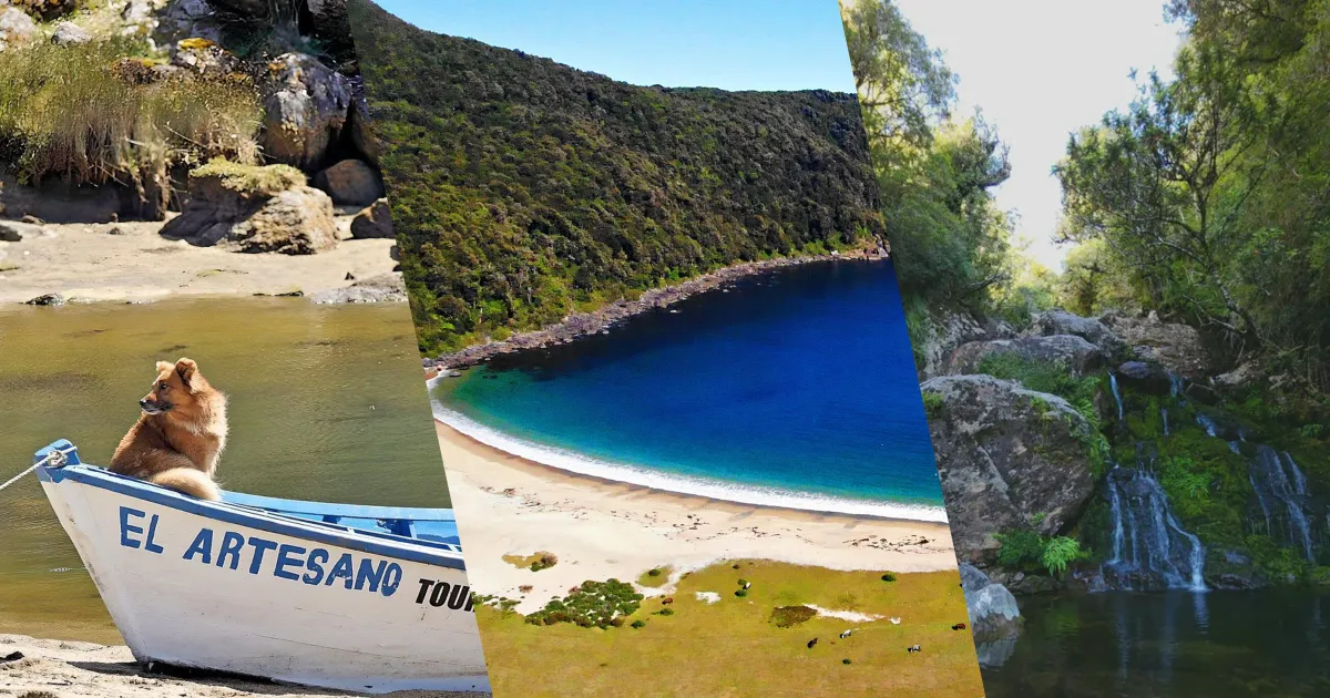 Collage de Caleta Cóndor: playa de arena blanca con agua turquesa, costa boscosa del estuario y sendero entre bosque nativo en Los Lagos