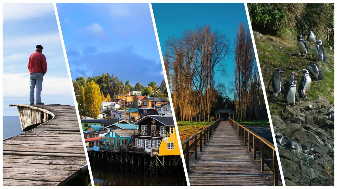 Chiloé: Guía Completa de la Isla Grande y su Cultura Única